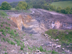 Backdale April 2009