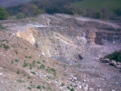 Backdale April 2009