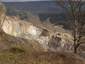 Backdale Quarry from the West